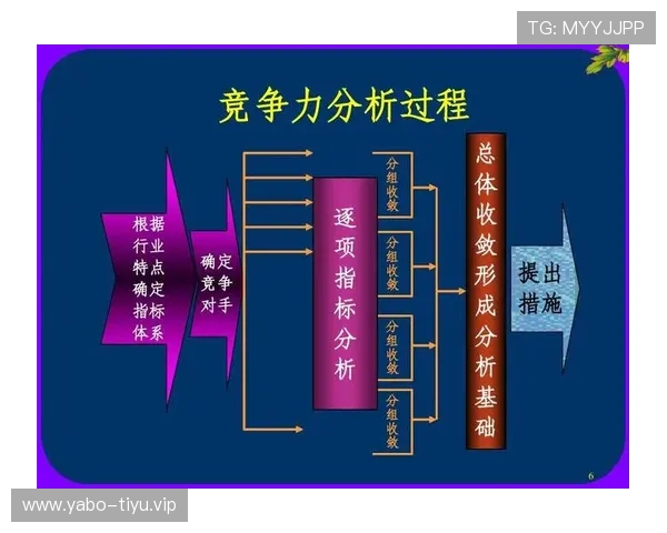kb体育在行业中的竞争优势与发展前景分析，助你理性判断